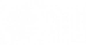 FORUM NEUE KUNST e.V.